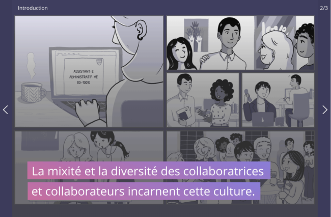 Diversity and inclusion in workplace, État Vaud