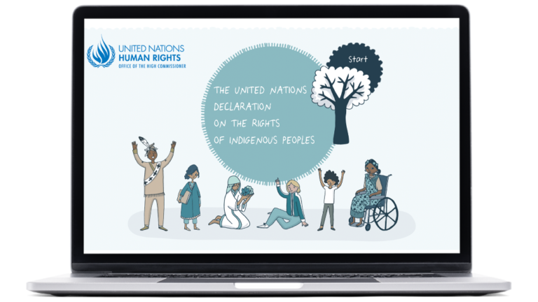 Exemples d’images du module Droits des peuples autochtones, réalisé pour OHCHR, sur ordinateur